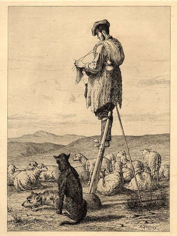 Sheepherder standing on stilts in a field of sheep